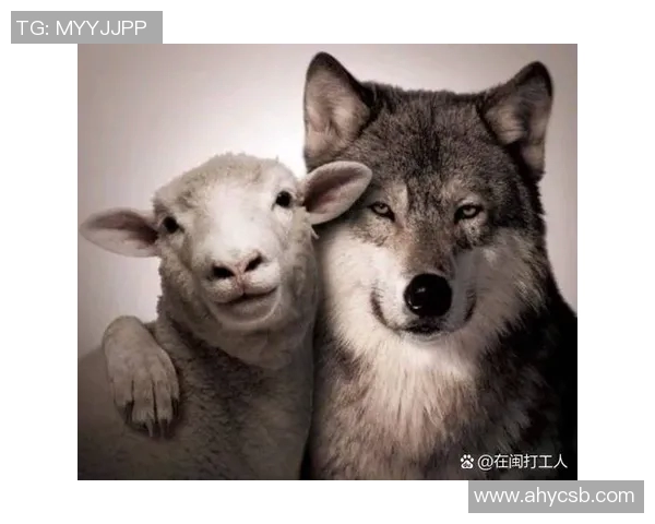 黑眼圈足球明星的奋斗与荣耀背后揭示的真实故事与挑战 黑眼圈足球明星的奋斗与荣耀背后揭示的真实故事与挑战