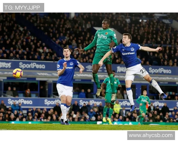 埃弗顿与沃特福德对决分析及双方近期状态评估