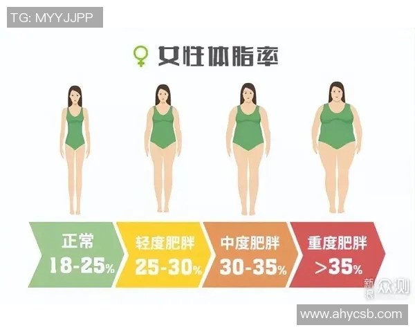 全面提升你的运动体验探索最优质的体育健身器材网站推荐